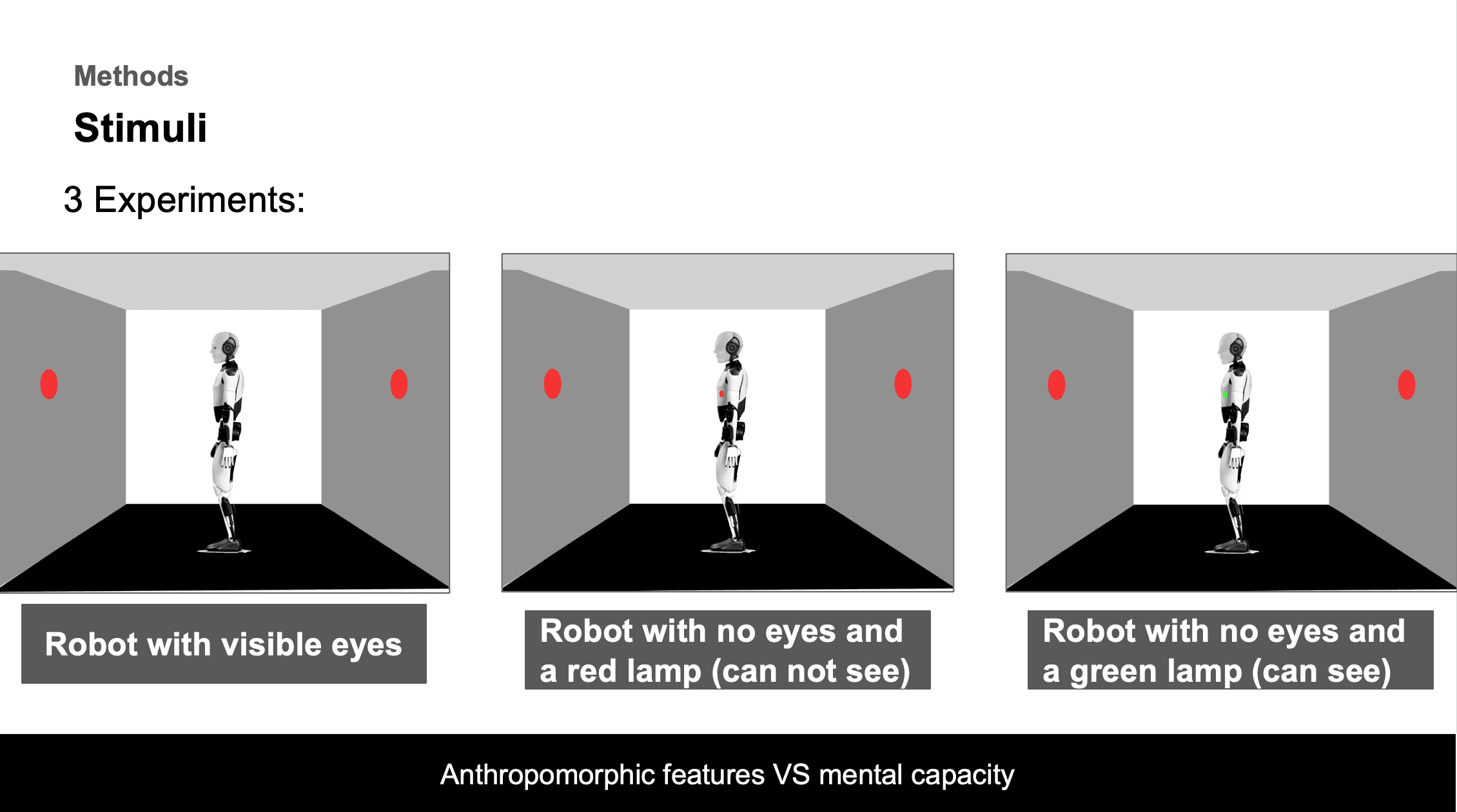 Can It See or Just Look? The Role of Eyes and Beliefs in Visual Perspective Taking with Social Robots thumbnail